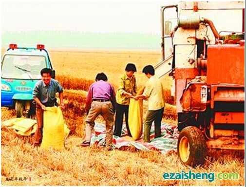 新科研：秸秆变废为宝(图1)