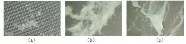 图2 自动清洗装置三个分区过滤装置的过滤效果。.webp