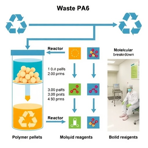 废PA6的化学回收技术，你知道多少？(图2)