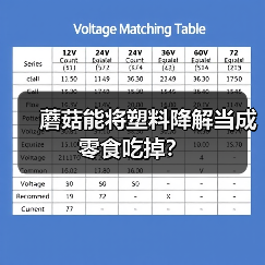 蘑菇能将塑料降解当成零食吃掉?(图3) 蘑菇能将塑料降解当成零食吃掉?(图3)