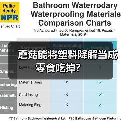 蘑菇能将塑料降解当成零食吃掉?(图1) 蘑菇能将塑料降解当成零食吃掉?(图1)
