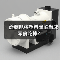 蘑菇能将塑料降解当成零食吃掉?(图2) 蘑菇能将塑料降解当成零食吃掉?(图2)