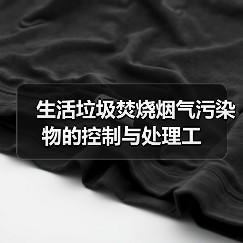 生活垃圾焚烧烟气污染物的控制与处理工(图3) 生活垃圾焚烧烟气污染物的控制与处理工(图3)