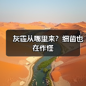 灰霾从哪里来?细菌也在作怪(图2) 灰霾从哪里来?细菌也在作怪(图2)