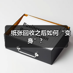 纸张回收之后如何“变身”？（图1）
