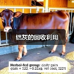 铝灰的回收利用（图3）
