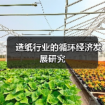 造纸行业的循环经济发展研究(图2) 造纸行业的循环经济发展研究(图2)