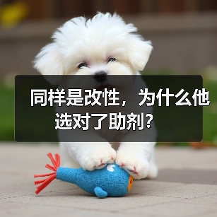 同样是改性,为什么他选对了助剂?(图4) 同样是改性,为什么他选对了助剂?(图4)