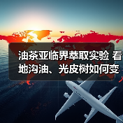 油茶亚临界萃取实验 看地沟油、光皮树如何变身生物柴油(图2) 油茶亚临界萃取实验 看地沟油、光皮树如何变身生物柴油(图2)