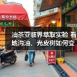 油茶亚临界萃取实验 看地沟油、光皮树如何变身生物柴油(图1) 油茶亚临界萃取实验 看地沟油、光皮树如何变身生物柴油(图1)