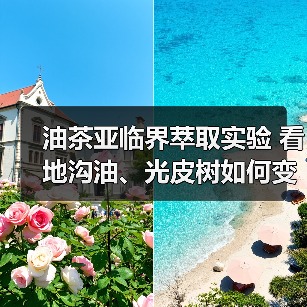 油茶亚临界萃取实验 看地沟油、光皮树如何变身生物柴油(图3) 油茶亚临界萃取实验 看地沟油、光皮树如何变身生物柴油(图3)