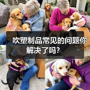 吹塑制品常见的问题你解决了吗？（图2）
