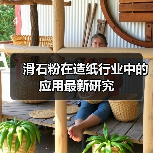 滑石粉在造纸行业中的应用最新研究(图2) 滑石粉在造纸行业中的应用最新研究(图2)
