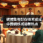 碳捕集与封存技术或成中国钢铁减排新热点(图1) 碳捕集与封存技术或成中国钢铁减排新热点(图1)