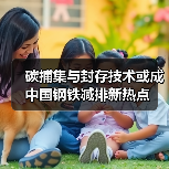 碳捕集与封存技术或成中国钢铁减排新热点(图3) 碳捕集与封存技术或成中国钢铁减排新热点(图3)