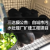 三达膜公告:白城市污水处理厂扩建工程项目完工(图3) 三达膜公告:白城市污水处理厂扩建工程项目完工(图3)