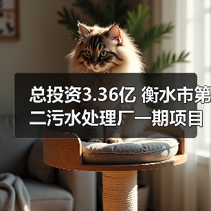 总投资3.36亿 衡水市第二污水处理厂一期项目开工！（图1）