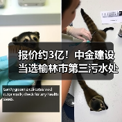 报价约3亿！中金建设当选榆林市第三污水处理厂二期扩建工程施工总承包第一中标候选人！（图4）