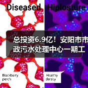 总投资6.9亿!安阳市市政污水处理中心一期工程招标(图1) 总投资6.9亿!安阳市市政污水处理中心一期工程招标(图1)