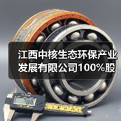 江西中核生态环保产业发展有限公司100%股权转让!(图4) 江西中核生态环保产业发展有限公司100%股权转让!(图4)
