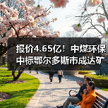 报价4.65亿!中煤环保中标鄂尔多斯市成达矿业有限公司陶忽图煤矿矿井水深度处理项目PC+O!(图3) 报价4.65亿!中煤环保中标鄂尔多斯市成达矿业有限公司陶忽图煤矿矿井水深度处理项目PC+O!(图3)