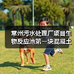 常州污水处理厂项目生物反应池第一块混凝土顺利浇筑（图4）