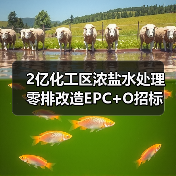 2亿化工区浓盐水处理零排改造EPC+O招标（图4）