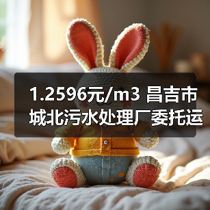 1.2596元/m3 昌吉市城北污水处理厂委托运营项目(二次)招标!(图2) 1.2596元/m3 昌吉市城北污水处理厂委托运营项目(二次)招标!(图2)