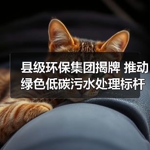 县级环保集团揭牌 推动绿色低碳污水处理标杆厂建设（图2）