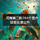河南第二批764个重点项目名单公布（图3）