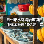 荆州市水环境治理项目中标金额近10亿元,建设内容全面解析(图1) 荆州市水环境治理项目中标金额近10亿元,建设内容全面解析(图1)
