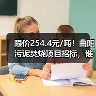 限价254.4元/吨!曲阳污泥焚烧项目招标,谁能中标?(图1) 限价254.4元/吨!曲阳污泥焚烧项目招标,谁能中标?(图1)