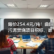 限价254.4元/吨!曲阳污泥焚烧项目招标,谁能中标?(图4) 限价254.4元/吨!曲阳污泥焚烧项目招标,谁能中标?(图4)