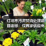 灯塔市污泥焚烧处理项目废标：仅两家供应商？原因解析（图1）