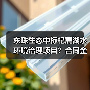 东珠生态中标杞麓湖水环境治理项目？合同金额达4556万（图4）