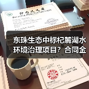 东珠生态中标杞麓湖水环境治理项目？合同金额达4556万（图1）