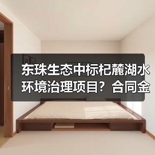 东珠生态中标杞麓湖水环境治理项目？合同金额达4556万（图3）