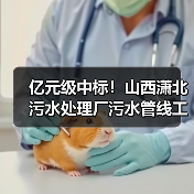 亿元级中标！山西潇北污水处理厂污水管线工程总承包结果揭晓（图1）