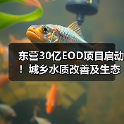 东营30亿EOD项目启动！城乡水质改善及生态修复工程招标（图3）