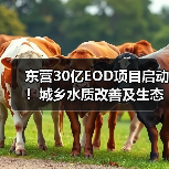 东营30亿EOD项目启动！城乡水质改善及生态修复工程招标（图1）