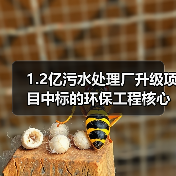 1.2亿污水处理厂升级项目中标的环保工程核心要点(图4) 1.2亿污水处理厂升级项目中标的环保工程核心要点(图4)