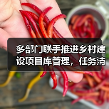 多部门联手推进乡村建设项目库管理,任务清单如何精准对接需求?(图4) 多部门联手推进乡村建设项目库管理,任务清单如何精准对接需求?(图4)