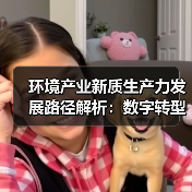 环境产业新质生产力发展路径解析:数字转型与低碳未来(图2) 环境产业新质生产力发展路径解析:数字转型与低碳未来(图2)