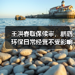 王洪春取保候审,鹏鹞环保日常经营不受影响(图3) 王洪春取保候审,鹏鹞环保日常经营不受影响(图3)