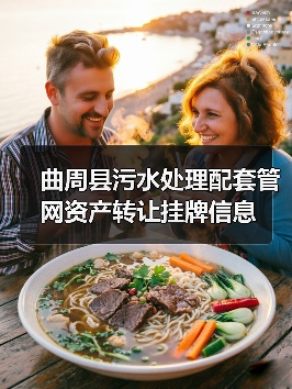 曲周县污水处理配套管网资产转让挂牌信息(图4) 曲周县污水处理配套管网资产转让挂牌信息(图4)
