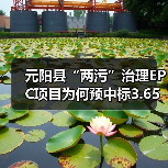 元阳县“两污”治理EPC项目为何预中标3.65亿元?(图2) 元阳县“两污”治理EPC项目为何预中标3.65亿元?(图2)