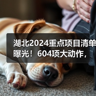 湖北2024重点项目清单曝光！604项大动作，生态环保项目引关注（图2）