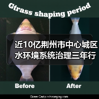 近10亿荆州市中心城区水环境系统治理三年行动项目建设计划一期工程总承包（二次）评标结果公示（图3）