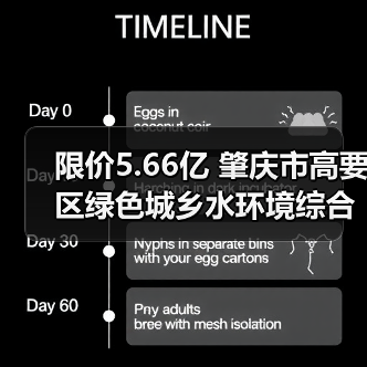 限价5.66亿 肇庆市高要区绿色城乡水环境综合利用工程（勘察设计施工总承包）招标公告（图3）