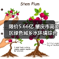 限价5.66亿 肇庆市高要区绿色城乡水环境综合利用工程（勘察设计施工总承包）招标公告（图2）